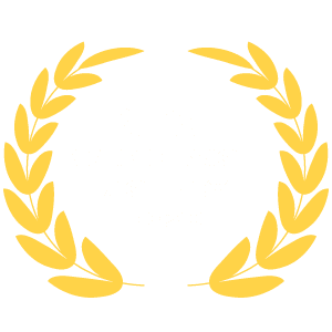 Best Web Design Agency badge
